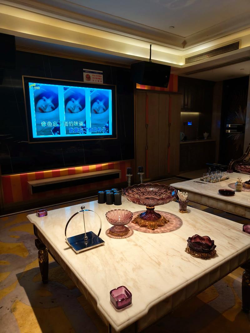 保定商务ktv划算吗值得一试-高阳县ktv预订